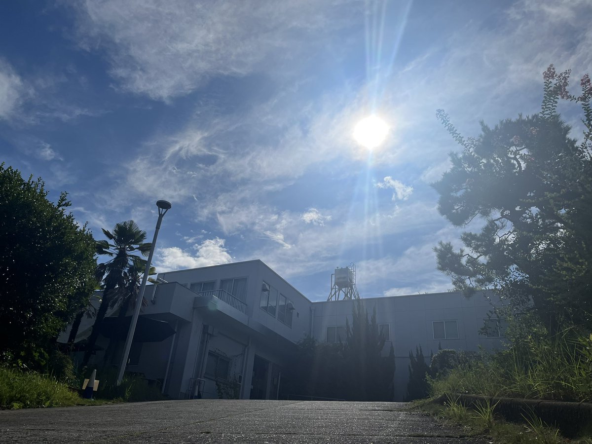 おはようございます！
今日は快晴、暑くなりそうです☀️
名大はopen campus2日目！
みなさんにとって、よい1日になりますように〜！

学生支援本部は今日も10〜17時に開室しています。相談したいなと思ったら、気軽にご連絡くださいね〜！