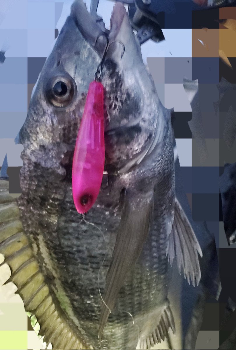 ラフトリックマジで有能
飛ぶ安い手に入れる使いやすい