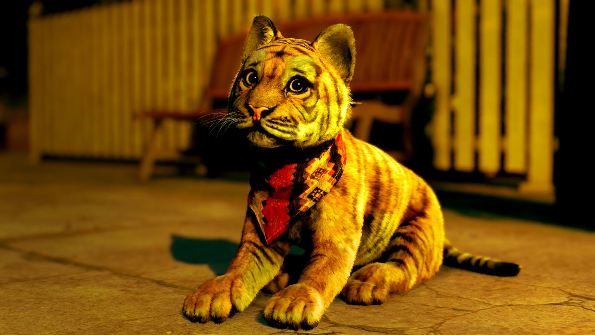 오늘은 세계 고양이의 날.
이 아기 고양이의 이름은 고로.
아무리 봐도 고양이… 맞죠!?
⠀
#용과같이