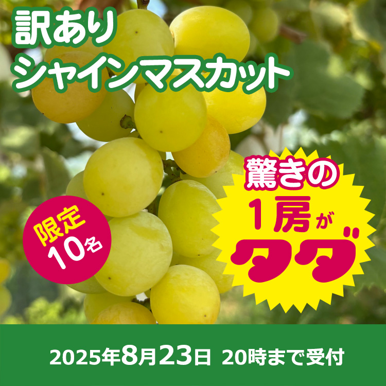 タダヤサイ (@tada8sai) / Posts / X