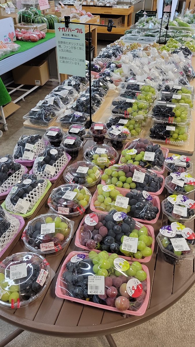 8/8(金) 『#世界猫の日』 『#親孝行の日』 おはようございます 本日