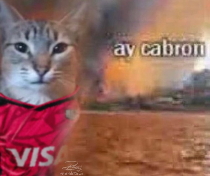 KRUesports's tweet image. #VCLLatam