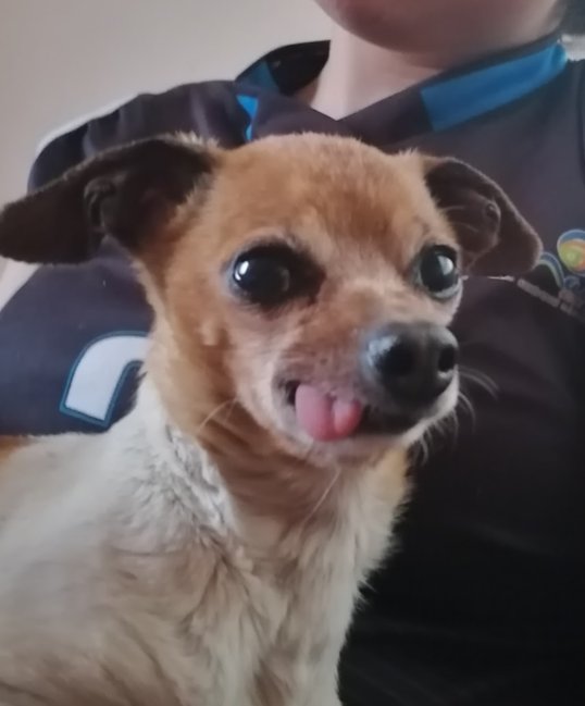 Jhoonnp__'s tweet photo. @Diegonorreaaa09 @LeviPinto11 Y el Piki bien posudo que si era jskajakakakaka https://t.co/X4VDtgL0kE