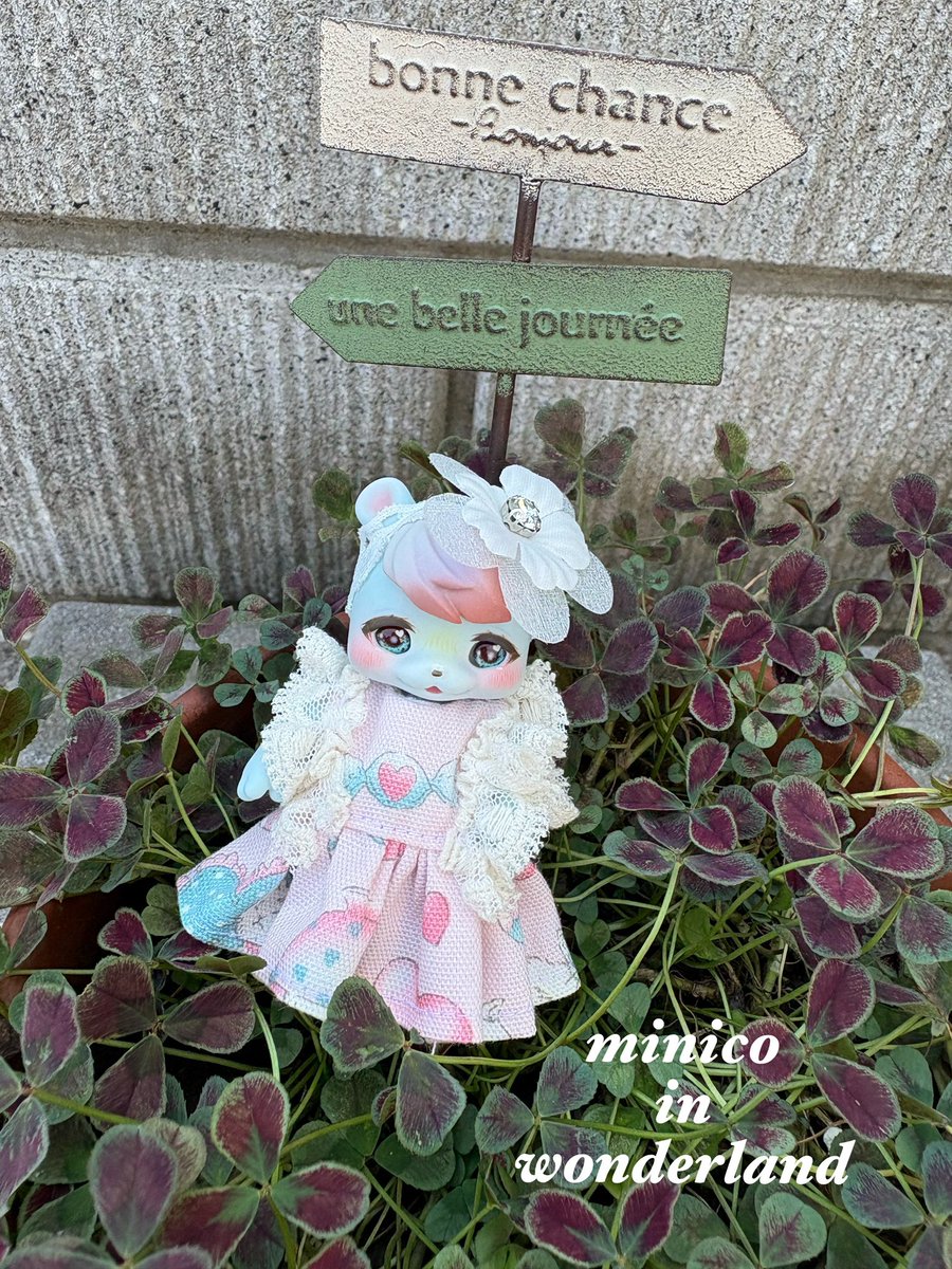 おはようございます😃😃
今日も暑いですね😅😅
水分補給しながら頑張りましょう💕💕

kumukuku、cocoriang服メルカリ、ラクマ、paypayフリマにて販売中‼️

#おはようございます #kumukuku #cocoriang #ドール服