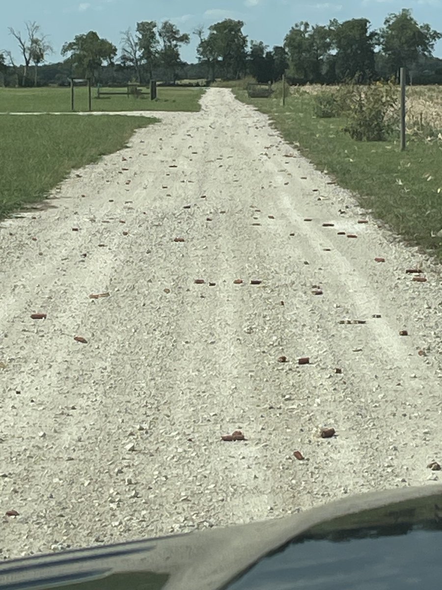 Aaron Martinka tweet media