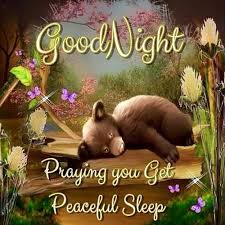 Hey Kindness Ambassador,
How was your TRUE THURSDAY?
I chose tonight's Good Night pic because like the cute bear in tonight's pic I am actually getting ready to go to sleep right now.
Good Night and dream with the angels...
