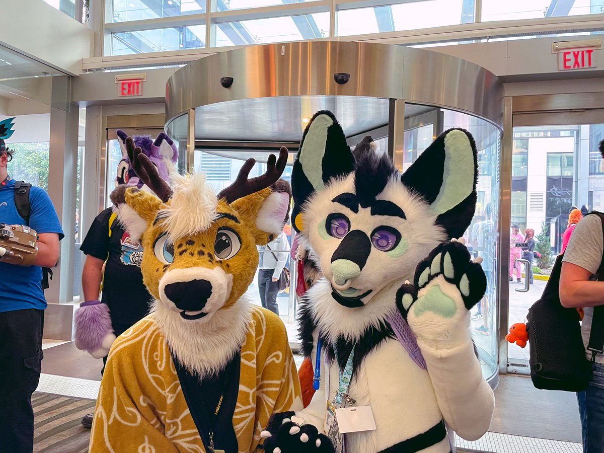 When <a href="/KumaThePanda22/">KumaThePanda</a> requests you find his idol <a href="/DeerTaru/">DeerTaru art 🦌 🎀 🔜 AC, Canfur</a> at #canfurence2025 to take a pic, YOU MAKE IT HAPPEN! 💚