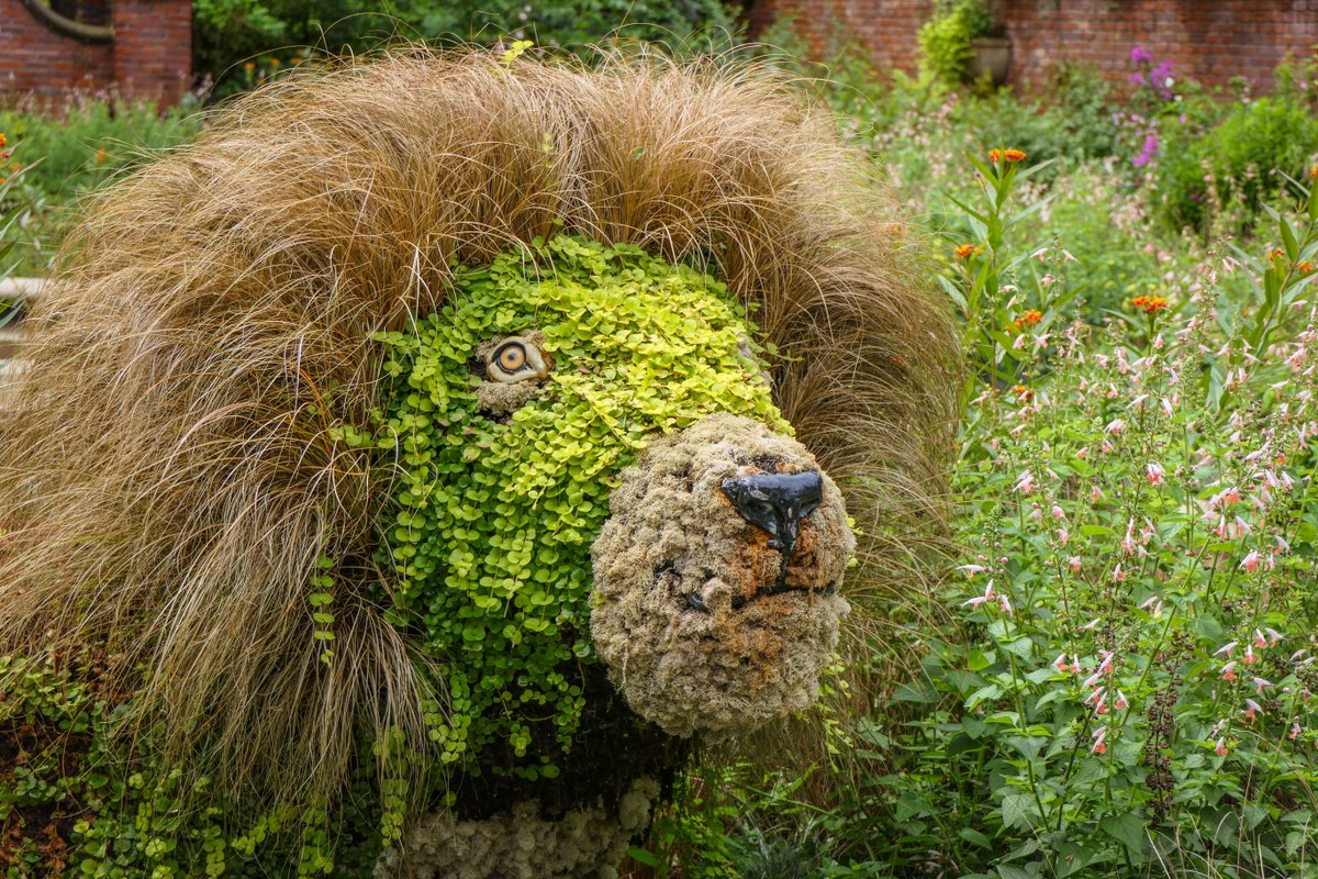 Less than a month left to explore our Tremendous Topiaries exhibit. Stop by now through September 1 to experience a wild scavenger hunt in the garden and see if you can track down all of our animal-shaped sculptures made from plants!