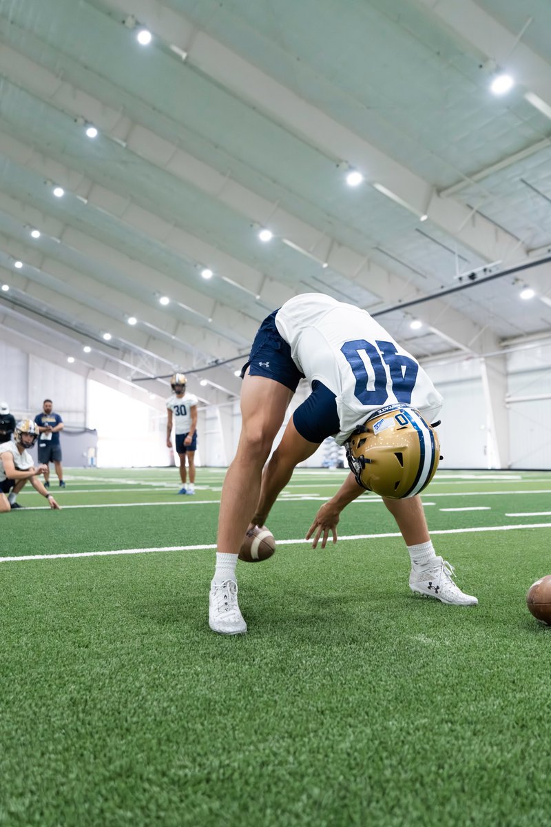 TheRightCats's tweet image. Rookie Specialists ‼️ 

#BobcatBuilt | #GoCatsGo