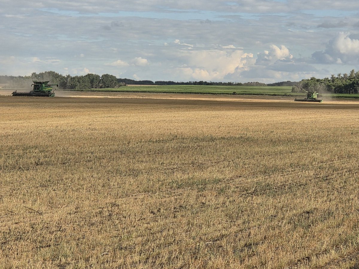 Six Strong Agronomy tweet media