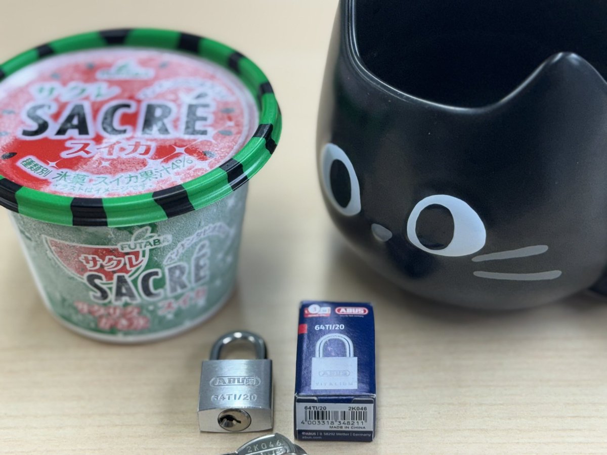 あーちきりん CUCP211CE ピロー形ユニット(鋳鉄製カバー付) 1個 旭精工 【通販