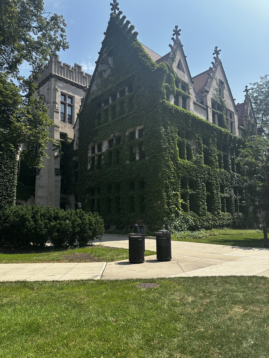 Joely Chadwick tweet media