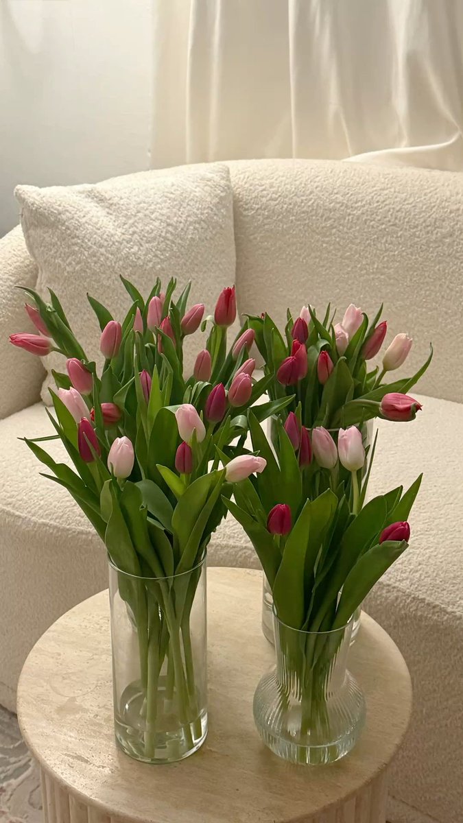 i3Moment's tweet photo. Tulips 🌷 https://t.co/PbqNLrzwUw