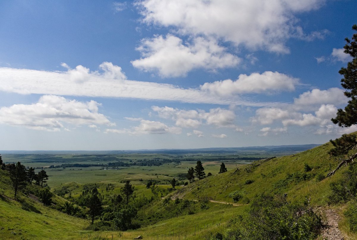 Lucid (@luciddaydream0) on Twitter photo 