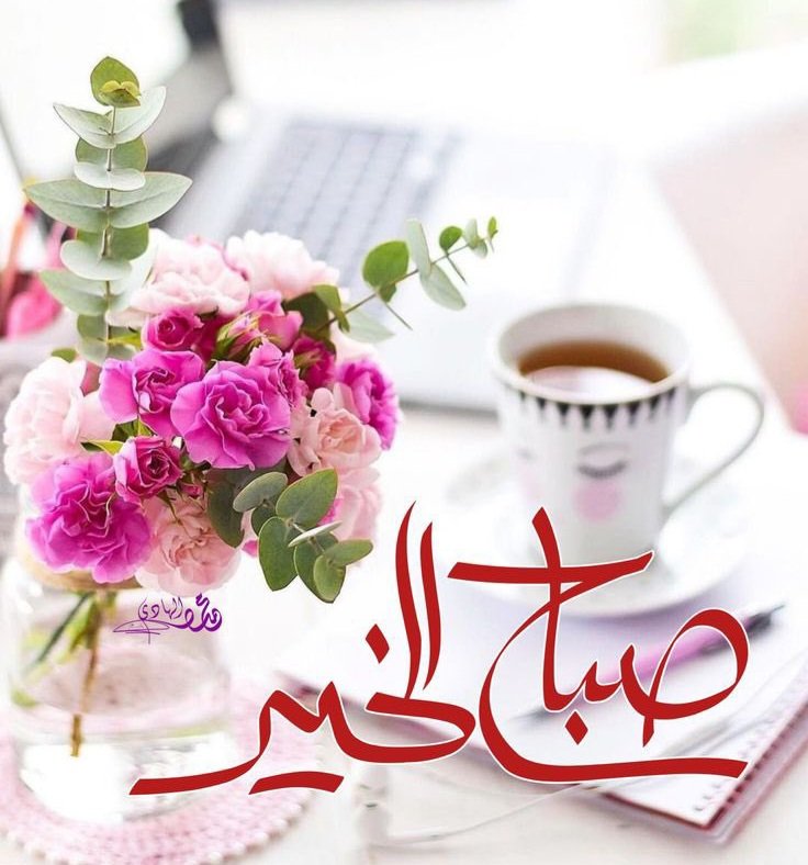 السلام عليكم ورحمۃ اللہ
صبح بخیر زندگی🌹🍃 
 
اے اللّه تو مالک و مختار ھے، ہر چیز پر قادر ھے، کل کائنات کا بادشاہ ھے، تیرے اختیار میں تو سب ہی کچھ ھے، ہمیں اس طرح سے نواز دے، سنوار دے، کہ شکر کے سوا لب پہ کوئی کلمہ و دعا نہ رھے..!!
#جمعہ_مبارکہ 

Good Morning X Fam 🩷