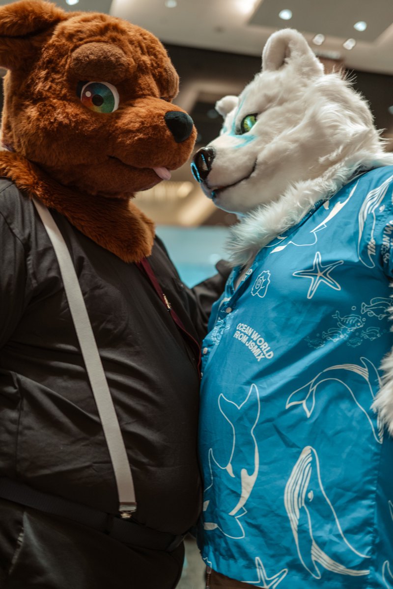 工具熊熊熊➡️??? (@toolbearvt) on Twitter photo 🐻❄️我剛剛的漢堡呢?你是不是偷吃了?(瞪
🐻我...我才沒有(舔嘴唇
🐾<a href="/YiYun0611/">逸雲(Yi-Yun)</a>
📷<a href="/racoonwolf/">Rac'n 🐾 UTFG</a>
✂ <a href="/KemoTianou/">天偶毛作⚠️commission close</a>
#utfg2025 #utfg #fursuitfriday 🐻❄️我剛剛的漢堡呢?你是不是偷吃了?(瞪
🐻我...我才沒有(舔嘴唇
🐾<a href="/YiYun0611/">逸雲(Yi-Yun)</a>
📷<a href="/racoonwolf/">Rac'n 🐾 UTFG</a>
✂ <a href="/KemoTianou/">天偶毛作⚠️commission close</a>
#utfg2025 #utfg #fursuitfriday