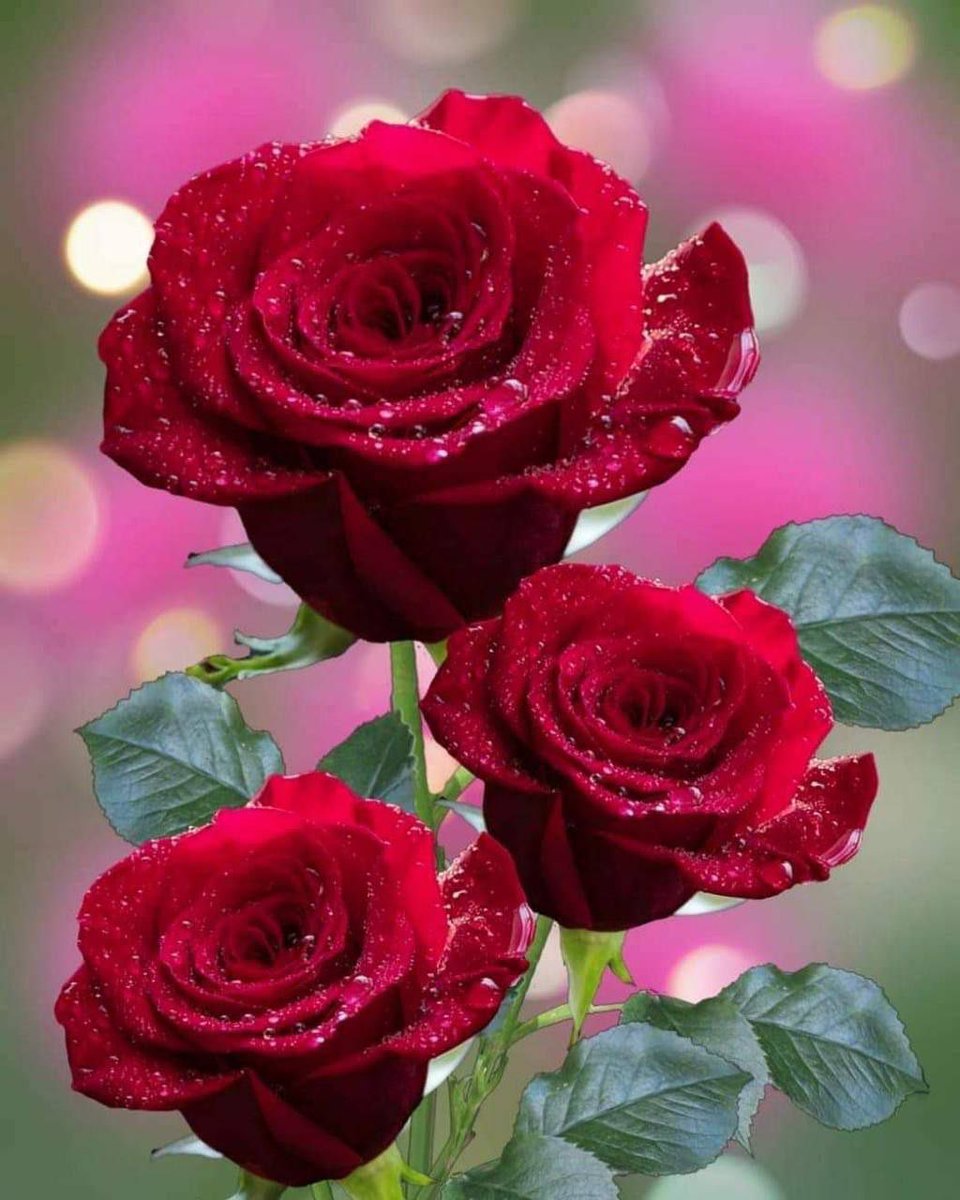 ♡يومٌ جميل♡ 
                      يتُرك أملاً .
     ويكتُب حُروفاً جَديّدهہ للسِعادهہ 
        اللہُمَ بِكَ أصبحنآ وعَليكَ تَوكلنا
             وأنتَ خيرُ الحَافظيّن 🤍🤍

        ♡صــــــــباح الخــــــــــير