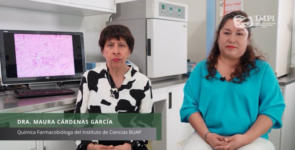 Dos investigadoras mexicanas patentaron un compuesto esteroidal con potencial anticancerígeno derivado del barbasco.
Es un orgullo acompañar estos logros desde el <a href="/IMPI_Mexico/">IMPI</a>. 
¡El talento mexicano sigue avanzando!
#InnovemosPorMéxico #HechoEnMéxico 🇲🇽

youtu.be/uvMha2xbR6s?si…
