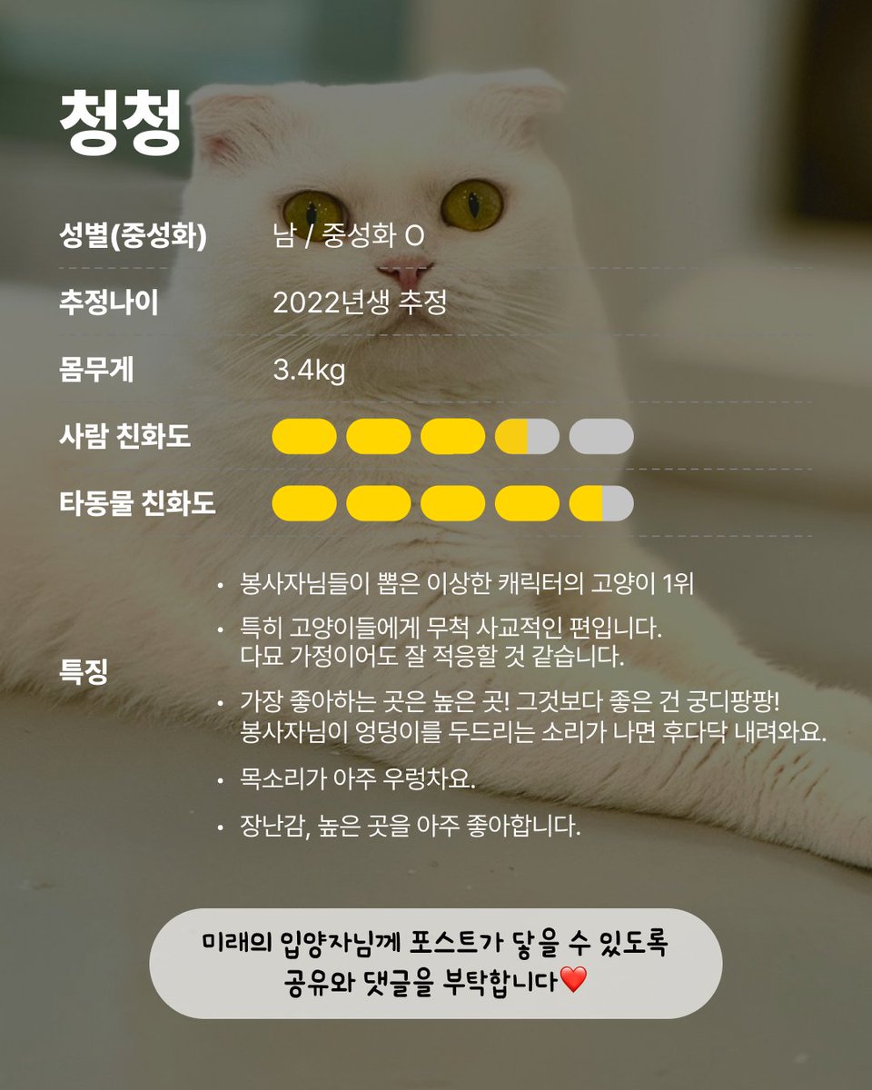 행동 하나하나가 사랑스러운 고양이, 청청이의 평생 가족이 되어주세요!

• 청청
• 2022년생 추정 / 남(중성화 O) / 3.4kg

🏡#입양센터아름품 > 서울시 마포구 잔다리로 122 2층
- 문의 : 02-6381-0999
- 매일 11:00 ~ 17:30

#카라_청청 #카라더봄센터 #동물권행동카라 #입양on펫숍off