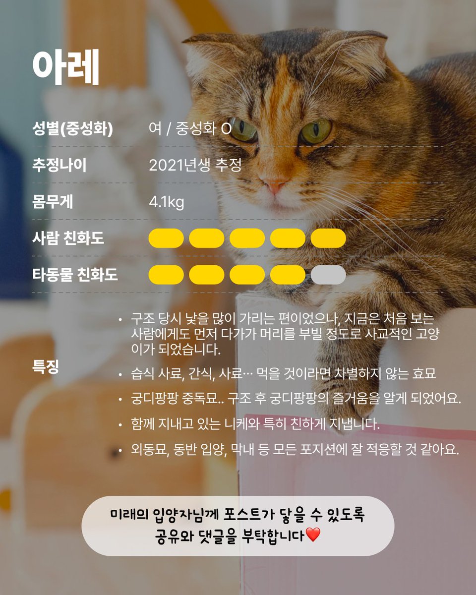 사람 무서워 고양이에서 궁디팡팡 중독묘까지,
사랑을 받고 베푸는 법을 알게 된 아레의 영원한 보금자리를 찾습니다!

• 아레
• 2021년생 추정 / 여(중성화 O) / 4.5kg

🏡#입양센터아름품 > 서울시 마포구 잔다리로 122 2층
- 문의 : 02-6381-0999
- 매일 11:00 ~ 17:30

#카라_아레 #카라더봄센터