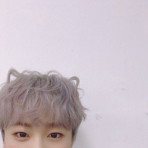 moonpika0126's tweet image. 세계 고양이의 날🐱 🐾

#문빈