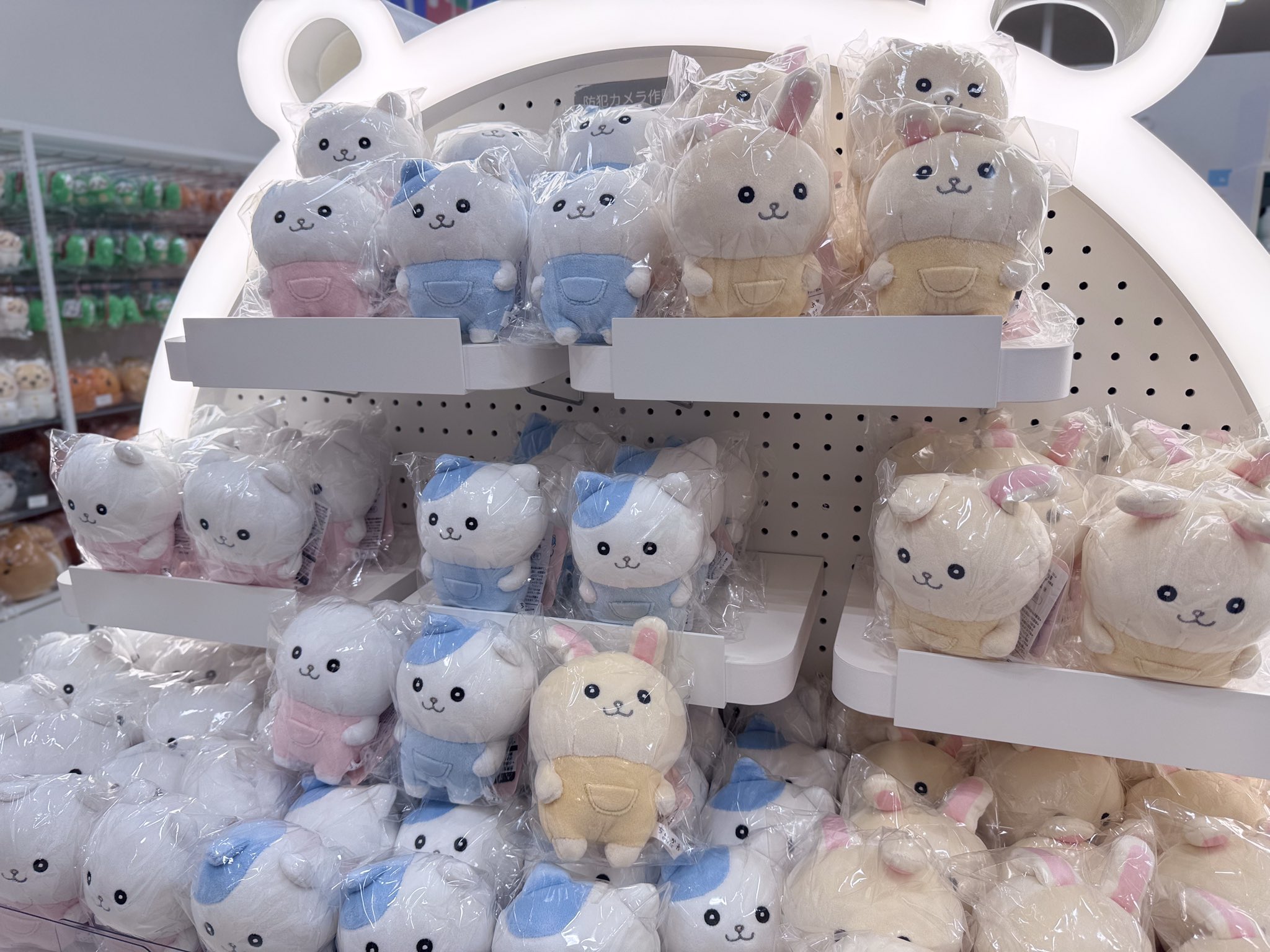 ナガノマーケット キメラ 虫 ナガノマーケットSHOP公式 on X: