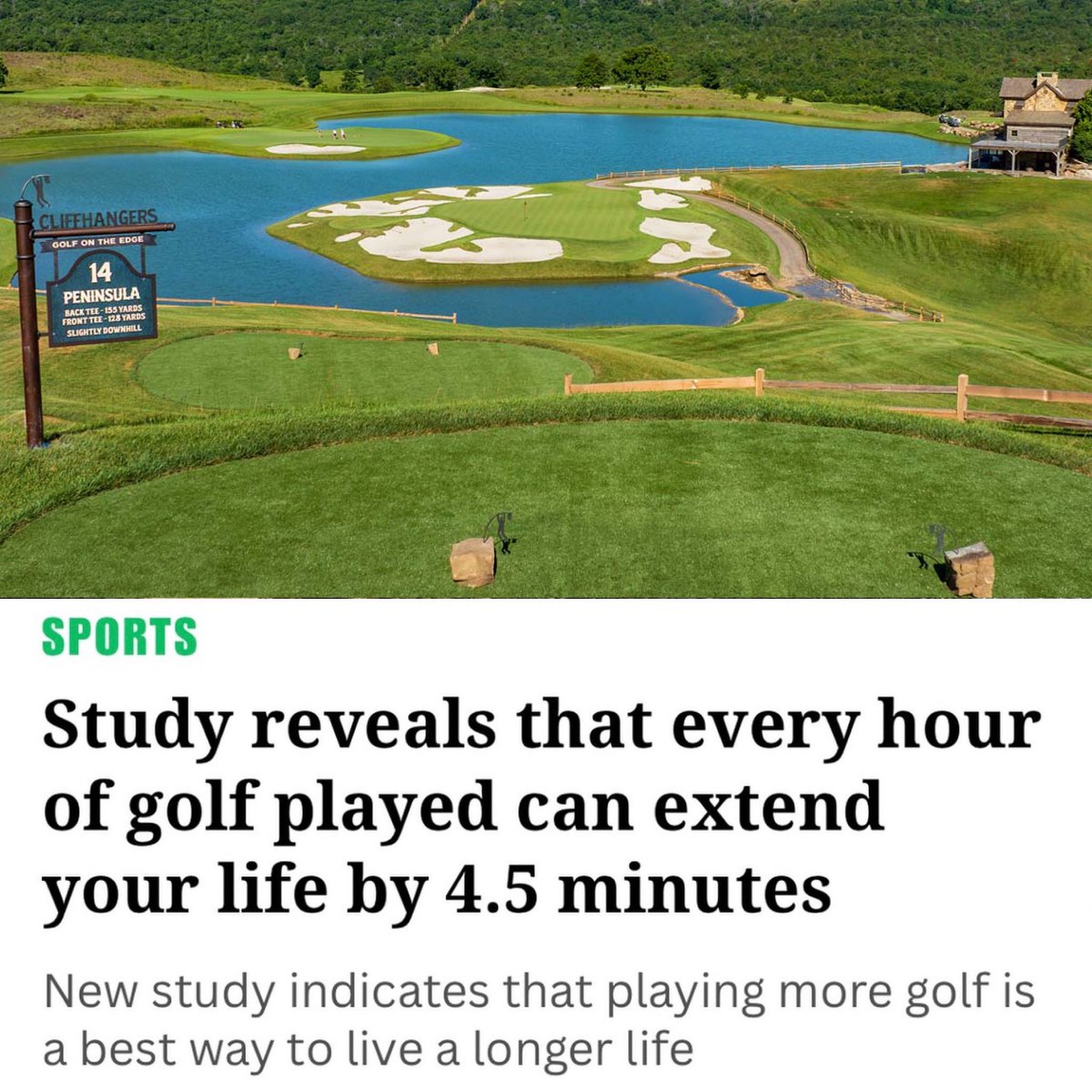 Seems accurate 💯⛳️