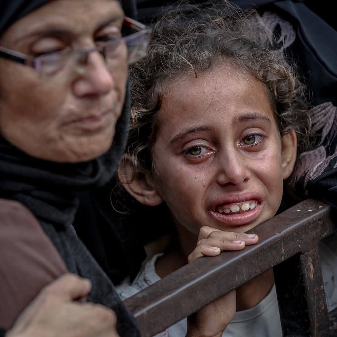 TekDinİslamdir tweet media