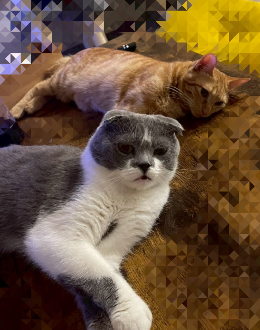 おはようございます！本日もパソコンショップエムズは営業中！ 

 店内涼しいので、PCを見に是非お気軽にお立ち寄りくださいね🐈 

  「今日のExcel豆知識！Ctrl + Bで太字にできるニャン📷」   

 #猫 #猫のいる暮らし #猫好きさんと繋がりたい #しんのすけ店長 #とらのすけ専務