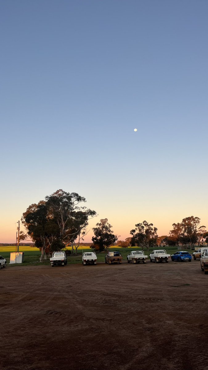 Learning about our new AH wheat Dale’s response to Nitrogen across a range of phosphorous levels at the CSBP trial site in Dudinin. Trials like this are invaluable for learning about how to manage our new lines. 🌾