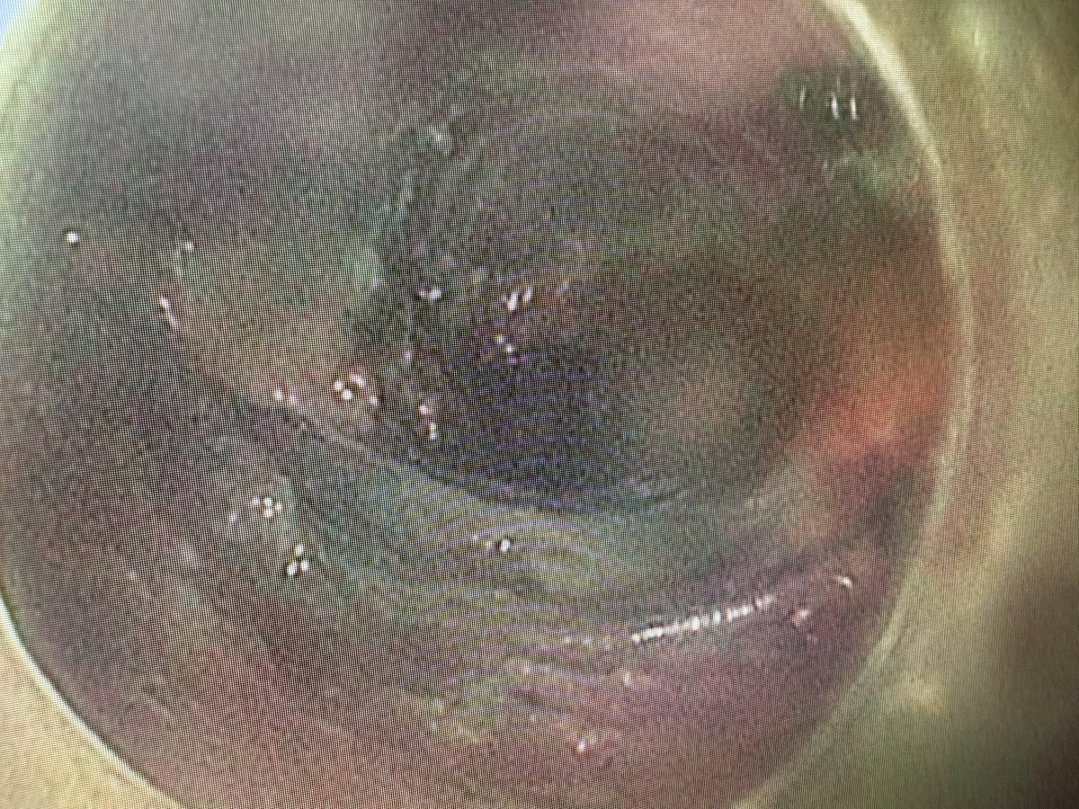 Benjamin Tharian tweet media