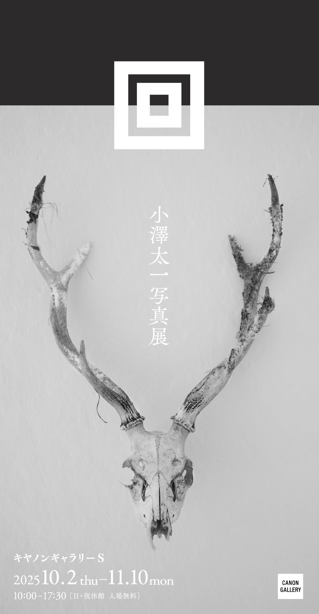 小澤太一 (@kozawataichi) / X