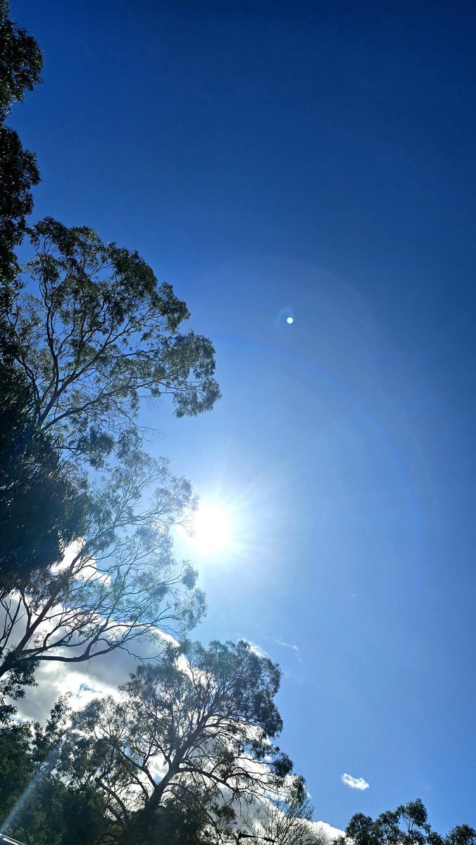 JordanPrior85's tweet image. 