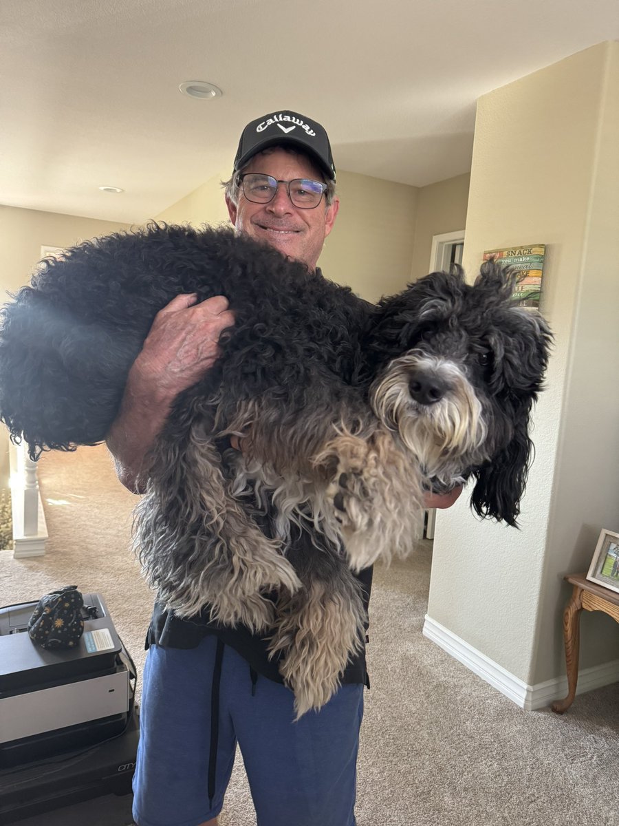 😱dad found this creature in the attic today? Not sure what it is!!