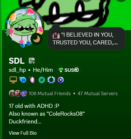 Duckfriend tweet media
