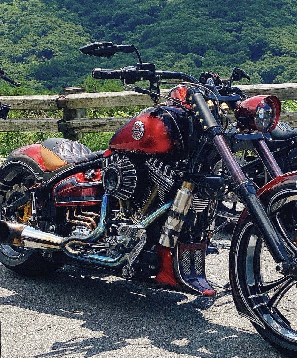 この時期のハーレーのエンジン
相当熱いんだよね😅
#ブレイクアウト