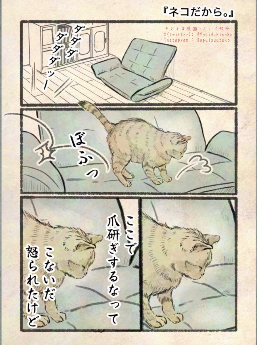 キジネコ様 (@Motidukineko) / X