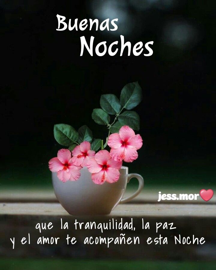 Clota (@clota7) on Twitter photo <a href="/zulma54137866/">Zulma 💯💪💯🇦🇷😻🇦🇷</a> <a href="/mcmarlyncris/">Marlyncris♍</a> <a href="/BlindadoGrupo1/">Grupo Blindado1</a> <a href="/mtbitran/">María Teresa</a> <a href="/rdmdq/">𝙍𝙤𝙗𝙚𝙧𝙩𝙤💛🇦🇷🇺🇦🇮🇱</a> <a href="/AdrianPerasso/">Adrian Perasso</a> <a href="/hollywoodavid79/">David Colombo</a> <a href="/hobbyta/">Adri Land ♊🇦🇷🇮🇹</a> <a href="/hemera133/">Héméra 🌹🌿😺🇦🇷...</a> <a href="/HectorGe04/">Don Ge💛💛</a> <a href="/OscarPa96778460/">El Patriota Republicano</a> <a href="/HugoAlexandroG2/">Hugo Alexandro 💛🇦🇷🇺🇦</a> <a href="/ZeraClau/">Clau Su 🌹</a> <a href="/mercede53721867/">mercedes santillan</a> <a href="/Aleli26281405/">Mariposita</a> <a href="/LUIS_OL43/">Luis</a> <a href="/ChilbitaSoyYO/">Chilbita🌹💛</a> <a href="/acaisut/">Alberto</a> <a href="/avercombie/">Doña Rosita</a> <a href="/jlcv1953/">jorge🇦🇷💪</a> Feliz descanso querida Zulma, sueña bonito 😘💤💤💤 <a href="/zulma54137866/">Zulma 💯💪💯🇦🇷😻🇦🇷</a> <a href="/mcmarlyncris/">Marlyncris♍</a> <a href="/BlindadoGrupo1/">Grupo Blindado1</a> <a href="/mtbitran/">María Teresa</a> <a href="/rdmdq/">𝙍𝙤𝙗𝙚𝙧𝙩𝙤💛🇦🇷🇺🇦🇮🇱</a> <a href="/AdrianPerasso/">Adrian Perasso</a> <a href="/hollywoodavid79/">David Colombo</a> <a href="/hobbyta/">Adri Land ♊🇦🇷🇮🇹</a> <a href="/hemera133/">Héméra 🌹🌿😺🇦🇷...</a> <a href="/HectorGe04/">Don Ge💛💛</a> <a href="/OscarPa96778460/">El Patriota Republicano</a> <a href="/HugoAlexandroG2/">Hugo Alexandro 💛🇦🇷🇺🇦</a> <a href="/ZeraClau/">Clau Su 🌹</a> <a href="/mercede53721867/">mercedes santillan</a> <a href="/Aleli26281405/">Mariposita</a> <a href="/LUIS_OL43/">Luis</a> <a href="/ChilbitaSoyYO/">Chilbita🌹💛</a> <a href="/acaisut/">Alberto</a> <a href="/avercombie/">Doña Rosita</a> <a href="/jlcv1953/">jorge🇦🇷💪</a> Feliz descanso querida Zulma, sueña bonito 😘💤💤💤