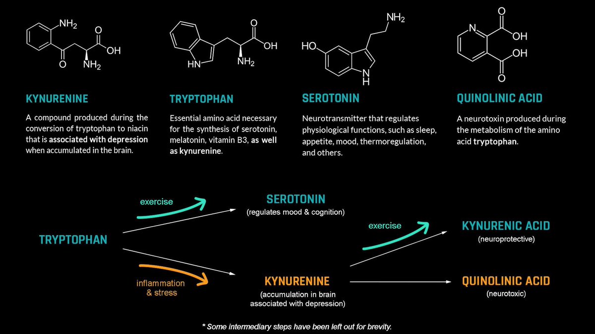 Gm! Remember to exercise today