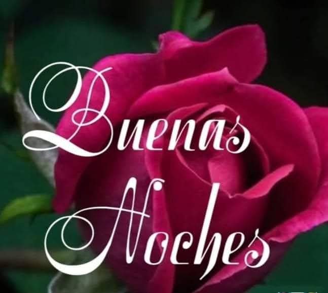 Zulma 💯💪💯🇦🇷😻🇦🇷 (@zulma54137866) on Twitter photo <a href="/Clota7/">Clota</a> <a href="/mcmarlyncris/">Marlyncris♍</a> <a href="/BlindadoGrupo1/">Grupo Blindado1</a> <a href="/mtbitran/">María Teresa</a> <a href="/rdmdq/">𝙍𝙤𝙗𝙚𝙧𝙩𝙤💛🇦🇷🇺🇦🇮🇱</a> <a href="/AdrianPerasso/">Adrian Perasso</a> <a href="/hollywoodavid79/">David Colombo</a> <a href="/hobbyta/">Adri Land ♊🇦🇷🇮🇹</a> <a href="/hemera133/">Héméra 🌹🌿😺🇦🇷...</a> <a href="/HectorGe04/">Don Ge💛💛</a> <a href="/OscarPa96778460/">El Patriota Republicano</a> <a href="/HugoAlexandroG2/">Hugo Alexandro 💛🇦🇷🇺🇦</a> <a href="/ZeraClau/">Clau Su 🌹</a> <a href="/mercede53721867/">mercedes santillan</a> <a href="/Aleli26281405/">Mariposita</a> <a href="/LUIS_OL43/">Luis</a> <a href="/ChilbitaSoyYO/">Chilbita🌹💛</a> <a href="/acaisut/">Alberto</a> <a href="/avercombie/">Doña Rosita</a> <a href="/jlcv1953/">jorge🇦🇷💪</a> Buenas noches Clota, 🥰🌹 igual para vos querida amiga buen descanso 😇 feliz despertar. 😘 <a href="/Clota7/">Clota</a> <a href="/mcmarlyncris/">Marlyncris♍</a> <a href="/BlindadoGrupo1/">Grupo Blindado1</a> <a href="/mtbitran/">María Teresa</a> <a href="/rdmdq/">𝙍𝙤𝙗𝙚𝙧𝙩𝙤💛🇦🇷🇺🇦🇮🇱</a> <a href="/AdrianPerasso/">Adrian Perasso</a> <a href="/hollywoodavid79/">David Colombo</a> <a href="/hobbyta/">Adri Land ♊🇦🇷🇮🇹</a> <a href="/hemera133/">Héméra 🌹🌿😺🇦🇷...</a> <a href="/HectorGe04/">Don Ge💛💛</a> <a href="/OscarPa96778460/">El Patriota Republicano</a> <a href="/HugoAlexandroG2/">Hugo Alexandro 💛🇦🇷🇺🇦</a> <a href="/ZeraClau/">Clau Su 🌹</a> <a href="/mercede53721867/">mercedes santillan</a> <a href="/Aleli26281405/">Mariposita</a> <a href="/LUIS_OL43/">Luis</a> <a href="/ChilbitaSoyYO/">Chilbita🌹💛</a> <a href="/acaisut/">Alberto</a> <a href="/avercombie/">Doña Rosita</a> <a href="/jlcv1953/">jorge🇦🇷💪</a> Buenas noches Clota, 🥰🌹 igual para vos querida amiga buen descanso 😇 feliz despertar. 😘