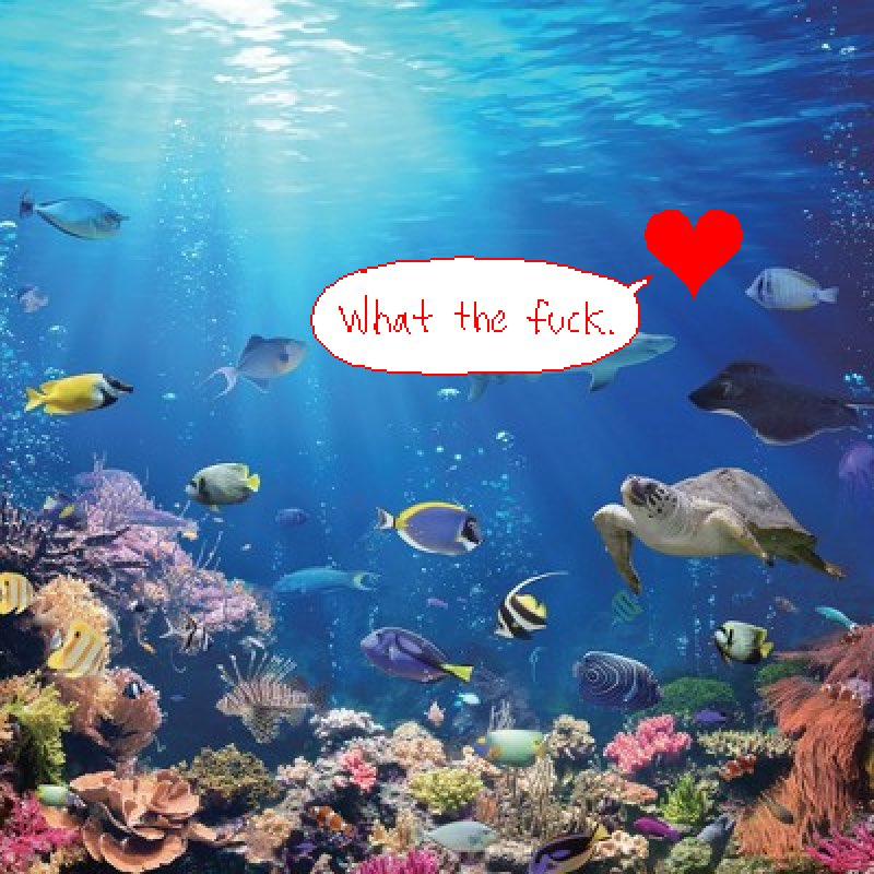 The Kralsei server has hit over one THOUSAND members, crazy! In celebration, I was asked (payed) to draw a little somethin' somethin' for it

I am forever grateful for the effect that my comics have had on this pairing, it took 7 years but I finally won. I won goddamnit