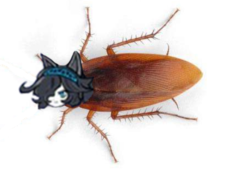 Roachsli, because I don't fucking know