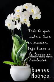 Clota (@clota7) on Twitter photo <a href="/hemera133/">Héméra 🌹🌿😺🇦🇷...</a> <a href="/mcmarlyncris/">Marlyncris♍</a> <a href="/BlindadoGrupo1/">Grupo Blindado1</a> <a href="/nurypok/">Nury</a> <a href="/AdrianPerasso/">Adrian Perasso</a> <a href="/NormaHerbst/">Eva Norma Herbst</a> <a href="/AmarocheAl87728/">Alex yovany Amaroche martinez</a> <a href="/BeetNeira/">Neira Beet 💛</a> <a href="/JosefaNorm64059/">Normy8</a> <a href="/CarlosRjs10/">𝐂𝐀𝐑𝐋𝐎𝐒 𝐑.</a> <a href="/cejulito1/">@cejulito1 del 56 % 🇦🇷🇺🇦🇮🇱</a> <a href="/OscarPa96778460/">El Patriota Republicano</a> <a href="/rdmdq/">𝙍𝙤𝙗𝙚𝙧𝙩𝙤💛🇦🇷🇺🇦🇮🇱</a> <a href="/clauok_/">Claudio🇦🇷</a> <a href="/ZeraClau/">Clau Su 🌹</a> <a href="/LUIS_OL43/">Luis</a> <a href="/zulma54137866/">Zulma 💯💪💯🇦🇷😻🇦🇷</a> <a href="/mercede53721867/">mercedes santillan</a> <a href="/HugoAlexandroG2/">Hugo Alexandro 💛🇦🇷🇺🇦</a> <a href="/elisamas1/">Elisa Beatriz Mas</a> Hasta mañana querida Hemera ten un feliz descanso junto a tus seres queridos Dios sea con todos🙏😘😘💤💤💤 <a href="/hemera133/">Héméra 🌹🌿😺🇦🇷...</a> <a href="/mcmarlyncris/">Marlyncris♍</a> <a href="/BlindadoGrupo1/">Grupo Blindado1</a> <a href="/nurypok/">Nury</a> <a href="/AdrianPerasso/">Adrian Perasso</a> <a href="/NormaHerbst/">Eva Norma Herbst</a> <a href="/AmarocheAl87728/">Alex yovany Amaroche martinez</a> <a href="/BeetNeira/">Neira Beet 💛</a> <a href="/JosefaNorm64059/">Normy8</a> <a href="/CarlosRjs10/">𝐂𝐀𝐑𝐋𝐎𝐒 𝐑.</a> <a href="/cejulito1/">@cejulito1 del 56 % 🇦🇷🇺🇦🇮🇱</a> <a href="/OscarPa96778460/">El Patriota Republicano</a> <a href="/rdmdq/">𝙍𝙤𝙗𝙚𝙧𝙩𝙤💛🇦🇷🇺🇦🇮🇱</a> <a href="/clauok_/">Claudio🇦🇷</a> <a href="/ZeraClau/">Clau Su 🌹</a> <a href="/LUIS_OL43/">Luis</a> <a href="/zulma54137866/">Zulma 💯💪💯🇦🇷😻🇦🇷</a> <a href="/mercede53721867/">mercedes santillan</a> <a href="/HugoAlexandroG2/">Hugo Alexandro 💛🇦🇷🇺🇦</a> <a href="/elisamas1/">Elisa Beatriz Mas</a> Hasta mañana querida Hemera ten un feliz descanso junto a tus seres queridos Dios sea con todos🙏😘😘💤💤💤