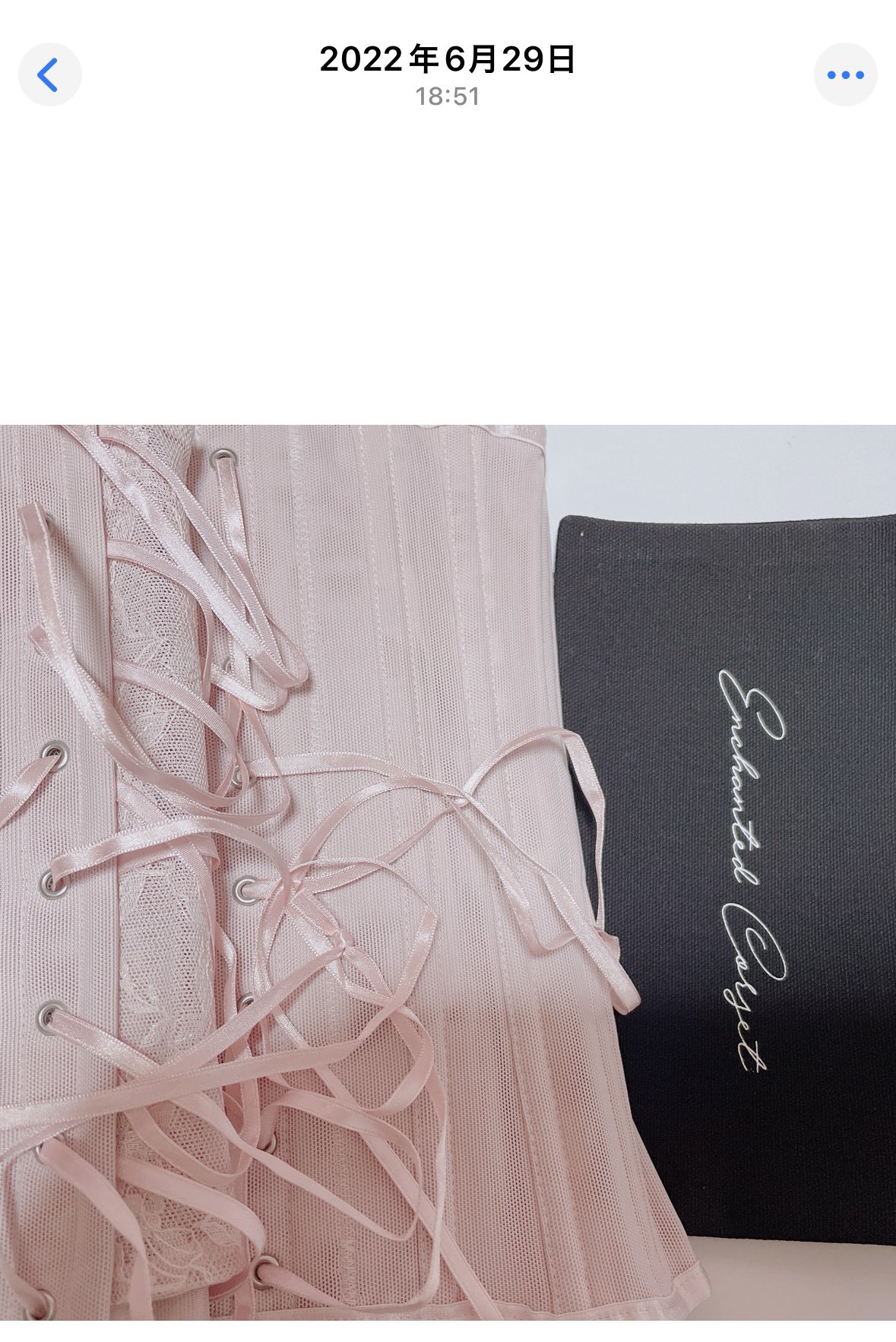 未使用★元鈴木さんコルセットEnchanted Corset Mサイズ 君津市製】Enchanted corset シレーヌ 桜貝（くすみピンク