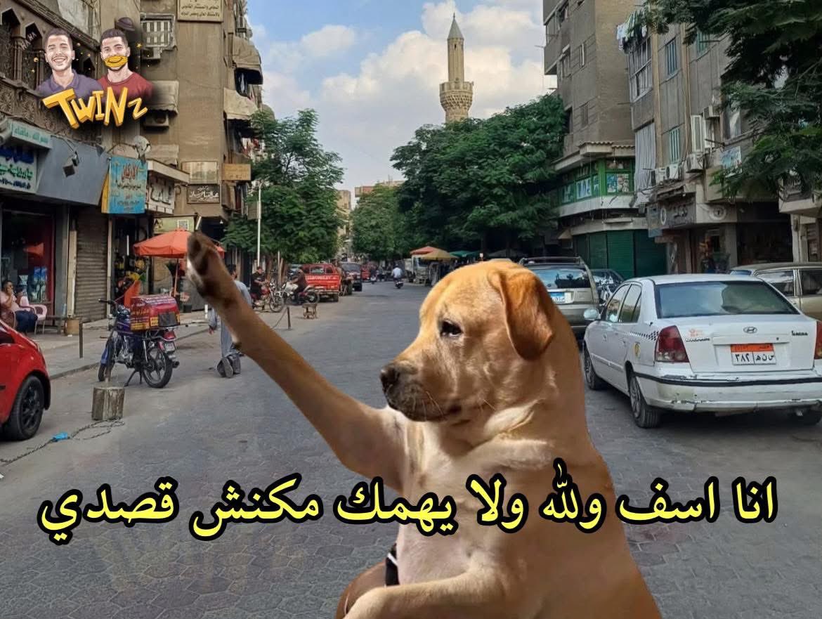 حد خبط فيا وانا ماشي في الشارع وبيلف عشان يعتزرلي
دماغي التعبانه :