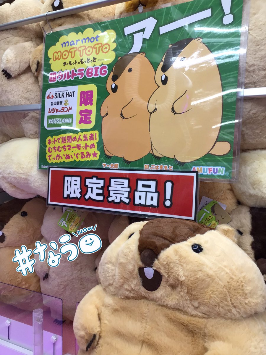 ✨プライズ情報✨ マーモットのもっとっと超ウルトラBIGが登場致しまし