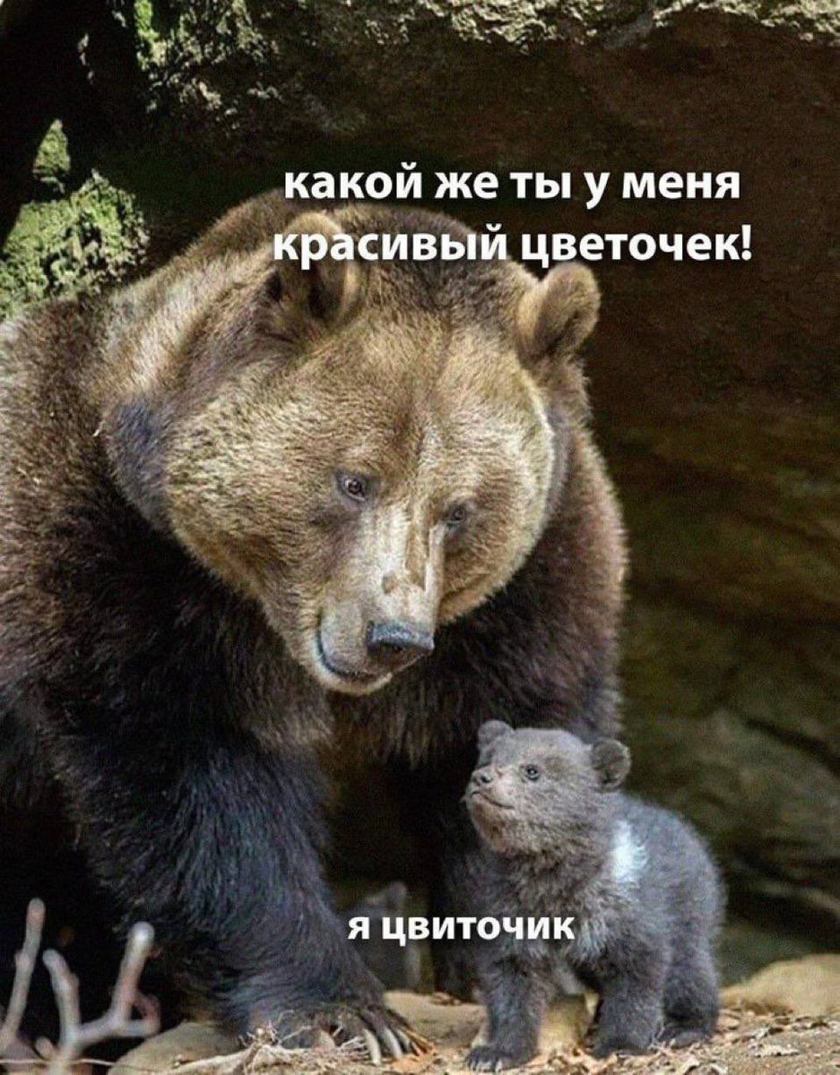 kukushonook (@kukushonook) on Twitter photo 