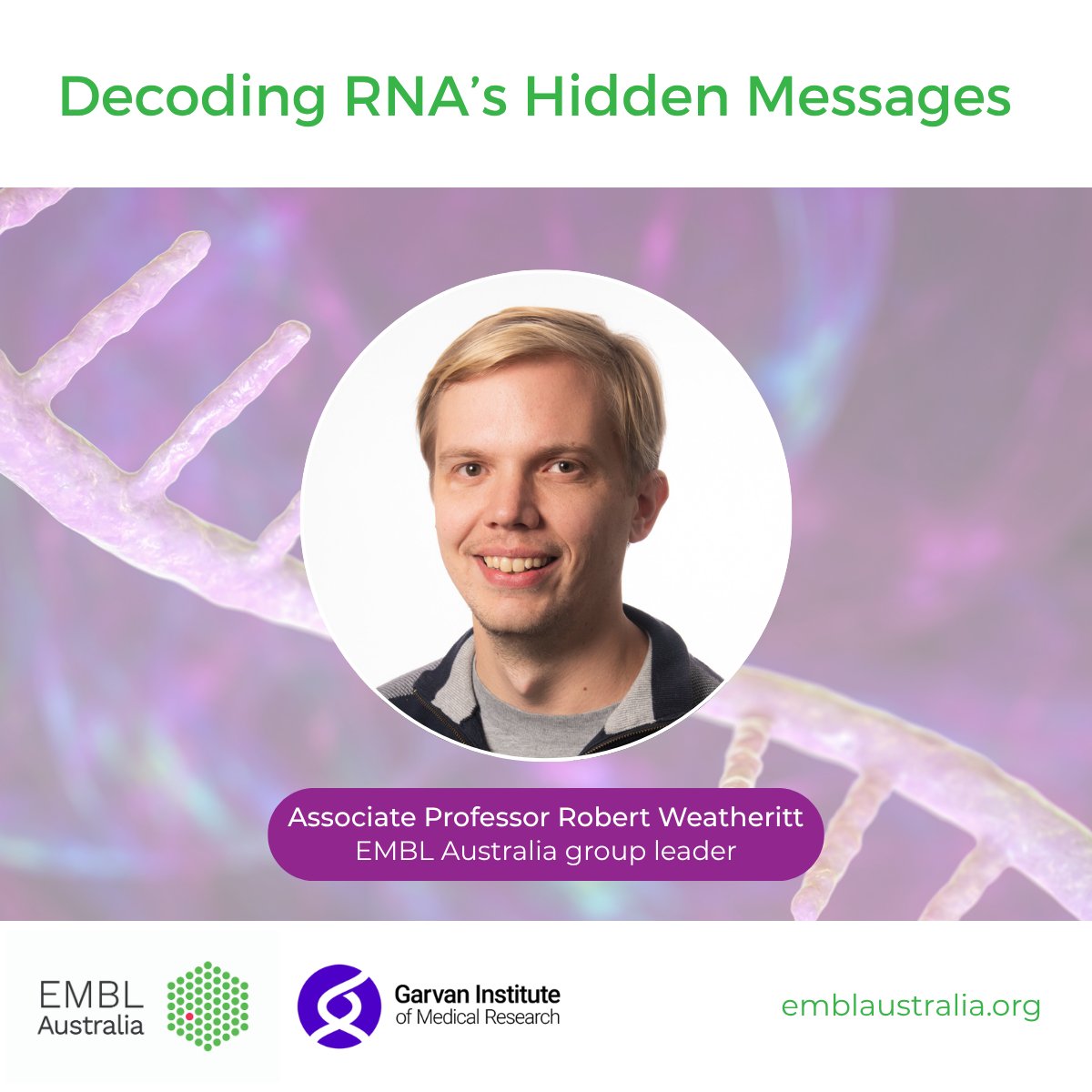EMBLAustralia's tweet image. RNA is life’s instruction manual🧬
A/Prof Robert Weatheritt @neuro_RNA @GarvanInstitute is decoding how cells turn RNA into proteins - and how that translation breaks down in disease.🧠🔬
🔗 More in our Impact Report: bit.ly/3EVhwD8
#ScienceWeek #DecodingTheUniverse