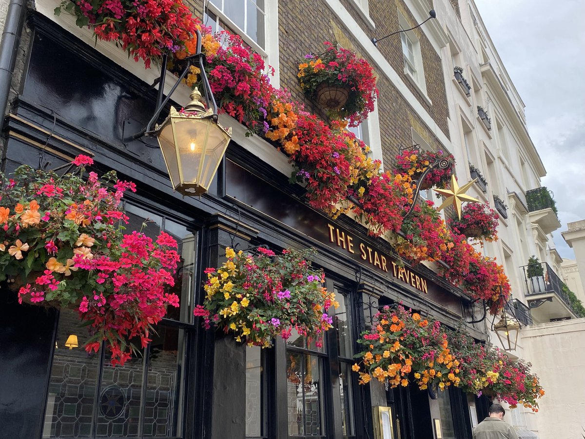 Mixing #pubfrontfriday with #flowersonfriday from the Star Tavern in Belgravia