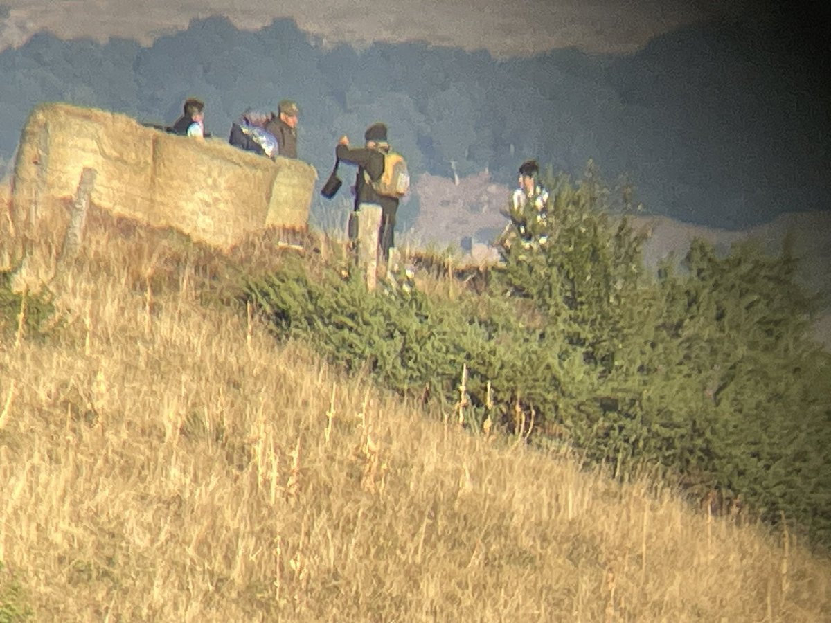 Agents de l’Ofb surpris au petit matin dans leur affût pour tuer le loup du Cantal. Cette nuit la bête n’est pas morte. #loup #ofb #cantal